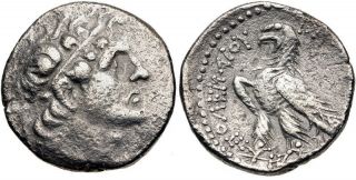Egypt The Ptolemies Ptolemaic Ptolemy Vi Philometor Silver Didrachm Ancient Coin