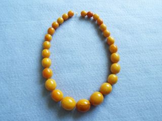 Vintage - Antique Natural Baltic Olive Beads Amber Necklace 73gr