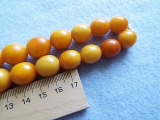 VINTAGE - ANTIQUE NATURAL BALTIC OLIVE BEADS AMBER NECKLACE 73GR 5