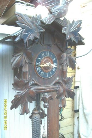 Cuckoo Clock Large Clock With Weights And Pendulum