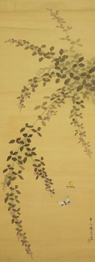 掛軸1967 Hanging Scroll : Maruyama Oshin " Bush Clover And Two Butterflies " @e267