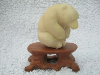 Gorgeous Hand Carved Black Forest Bear Statue Upon Carved Wood Base Tagua Nut