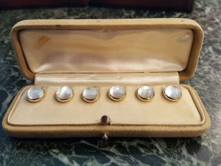 6 Moonstone Tuxedo Shirt Studs 14k Yellow Gold Cabochons Carrington and Co. 2