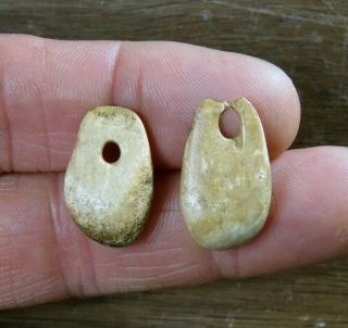 2 Rare Fort Ancient Drilled Elk Teeth Pendants Mason Co.  West Virginia X Beutell