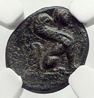 Kaunos In Caria 350bc Rare Authentic Ancient Greek Coin Bull & Sphinx Ngc I73122