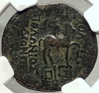 GAIUS Caesar Grandson of AUGUSTUS Tripolis Lydia Ancient Roman Coin NGC i68415 2