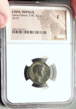 GAIUS Caesar Grandson of AUGUSTUS Tripolis Lydia Ancient Roman Coin NGC i68415 3