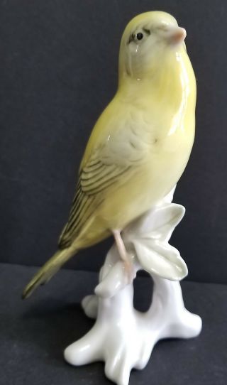 Karl Ens Yellow Bird On White Branch Porcelain Figurine Blue Windmill Vintage