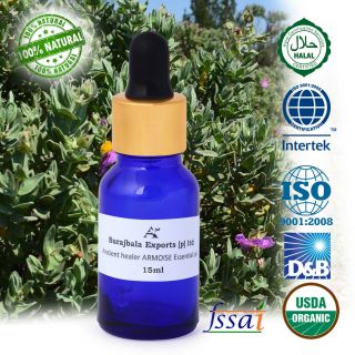 Ancient Healer 100 Natural Armoise Essential Oil