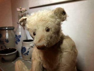 Steiff Teddy Bear Antique Bear Plush Doll