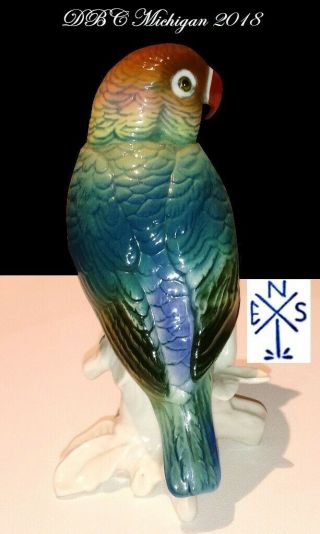 Collectible 1940 Karl Ens Volkdstat Germany Parrot 7584,  Vivid Colors Cond