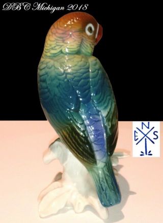 COLLECTIBLE 1940 KARL ENS VOLKDSTAT GERMANY PARROT 7584,  VIVID COLORS COND 2