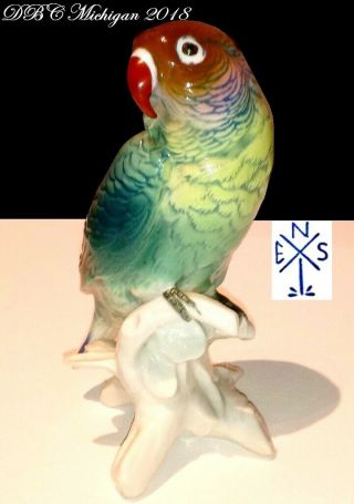 COLLECTIBLE 1940 KARL ENS VOLKDSTAT GERMANY PARROT 7584,  VIVID COLORS COND 3