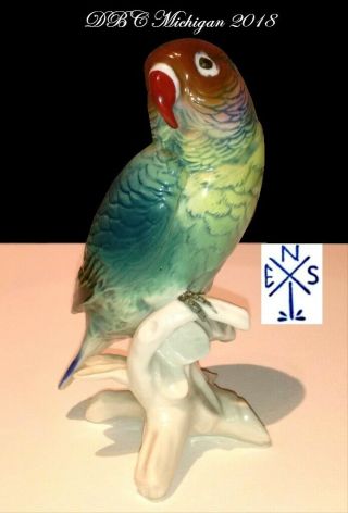 COLLECTIBLE 1940 KARL ENS VOLKDSTAT GERMANY PARROT 7584,  VIVID COLORS COND 4