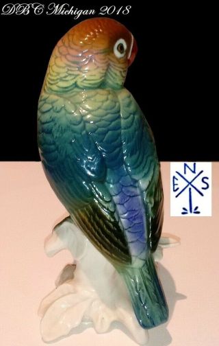 COLLECTIBLE 1940 KARL ENS VOLKDSTAT GERMANY PARROT 7584,  VIVID COLORS COND 5