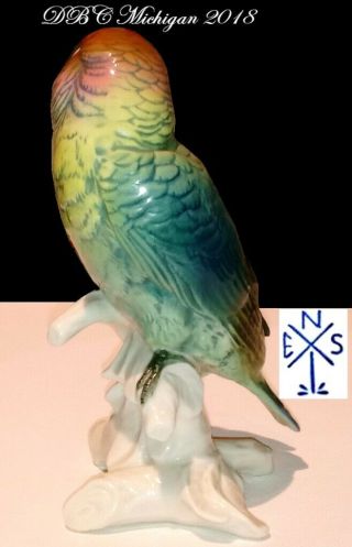COLLECTIBLE 1940 KARL ENS VOLKDSTAT GERMANY PARROT 7584,  VIVID COLORS COND 6