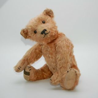 Bmc Teddy With Foot Label - Rare Old Antique American Bear - 1907 - 1909