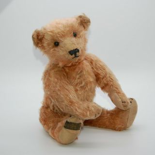 BMC Teddy with Foot Label - Rare Old Antique American Bear - 1907 - 1909 2