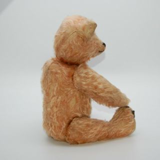 BMC Teddy with Foot Label - Rare Old Antique American Bear - 1907 - 1909 4