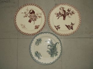 3 Antique French Faience Plate Décorated With Birds And Thrush