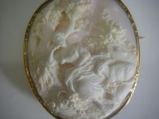 Magnificent Cameo with 18 kt brooch and top quality carving 2