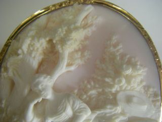 Magnificent Cameo with 18 kt brooch and top quality carving 3