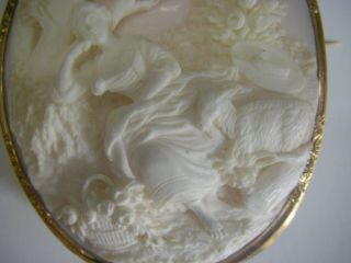 Magnificent Cameo with 18 kt brooch and top quality carving 4