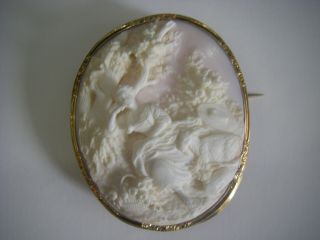 Magnificent Cameo with 18 kt brooch and top quality carving 5