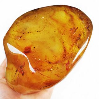 670.  5g Natural Baltic Butterscotch Egg Yolk Amber Facet Rough Specimen Msjb911