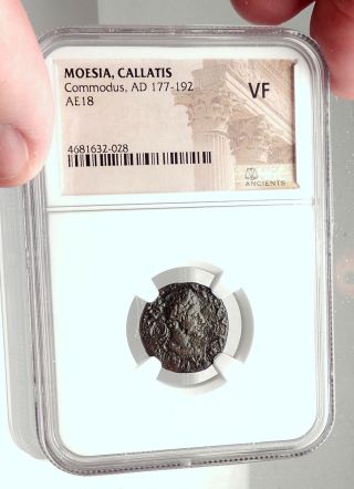 Commodus Authentic Ancient 177ad Kallatis Thrace Roman Coin Thanatos Ngc I73098