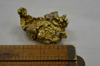 Antique 22k Natural Gold Nugget Pin Brooch Klondike Gold Rush 26.  4 Grams