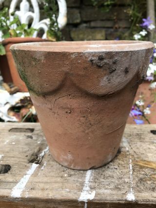 Antique Vintage Garden Edwardian Rare Scalloped Edge Terracotta Plant Pot Clay