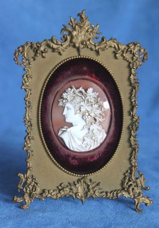 Antique Signed Bacchante Grapes Shell Cameo In French Bronze Dore Picture Frame