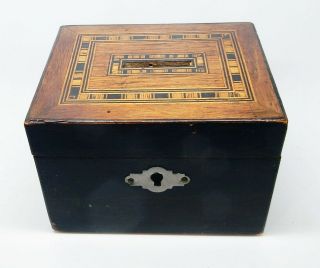 Antique English 4 " Wooden Marquetry Money Box With Lock No Key England
