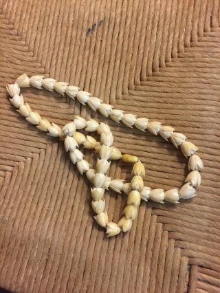 Vintage Ivory Beaded Necklace 50,  Flower Petals 100 Years Old