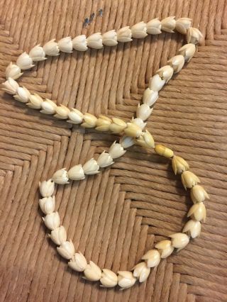 Vintage Ivory Beaded Necklace 50,  Flower Petals 100 years old 3