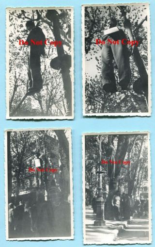 4 Orig Aug 1944 Wwii Southern France Photos Hanged Traitor German Collaborator