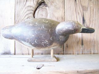 Antique - Vintage - Factory - Mason - Mallard - Wooden duck decoy 9