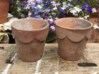 Antique Vintage Garden Edwardian Scalloped Edge Terracotta Plant Pot Old Clay