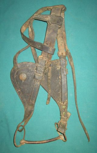 Wwi Era U.  S.  Cavalry Leather Horse Blinders Bridle Bit And Harness
