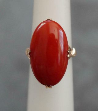 Vtg 25mm By 15mm Mediterranean Oxblood Coral Cab Handmade 14k Yellow Gold Ring