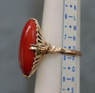 Vtg 25mm by 15mm Mediterranean Oxblood Coral Cab Handmade 14K Yellow Gold Ring 4
