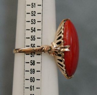 Vtg 25mm by 15mm Mediterranean Oxblood Coral Cab Handmade 14K Yellow Gold Ring 5