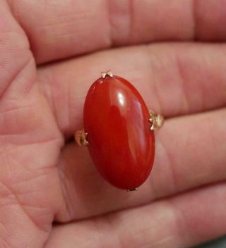 Vtg 25mm by 15mm Mediterranean Oxblood Coral Cab Handmade 14K Yellow Gold Ring 6