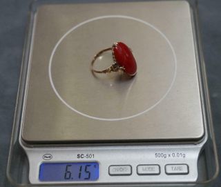 Vtg 25mm by 15mm Mediterranean Oxblood Coral Cab Handmade 14K Yellow Gold Ring 8