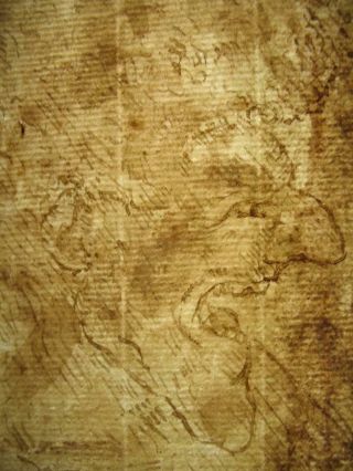 Old Master Grotesque Ink Drawing After Leonardo Da Vinci On Ancient Paper