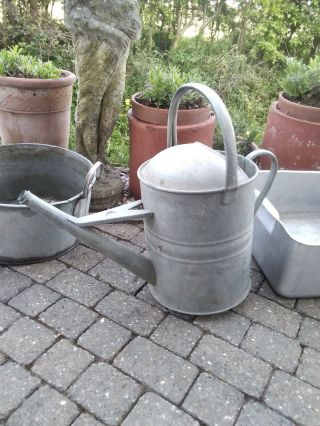 Vintage Galvanised Planter Watering Can Leaky So A Good Planter Herbs Patio