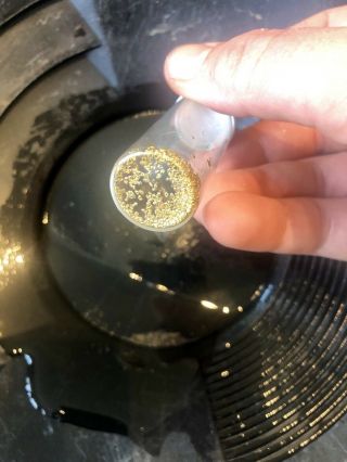 Big Nugget 100 Unsearched Gold Panning Pay Dirt From Ancient Waterfall