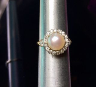 Antique Rings,  Vintage Rings,  Pearls,  Pearl Rings,  Diamonds,  Yellow Gold Rings