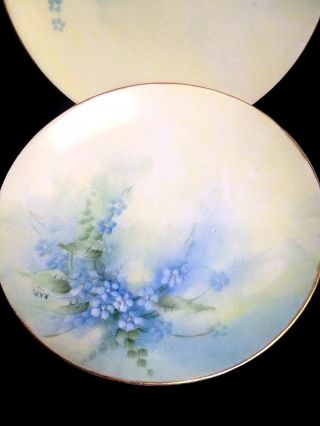 Set Of Six Antique Dated 1916 Signed Hand Painted Forget Me Not Cabinet Plates 2